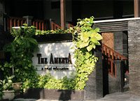 THE AMERTA